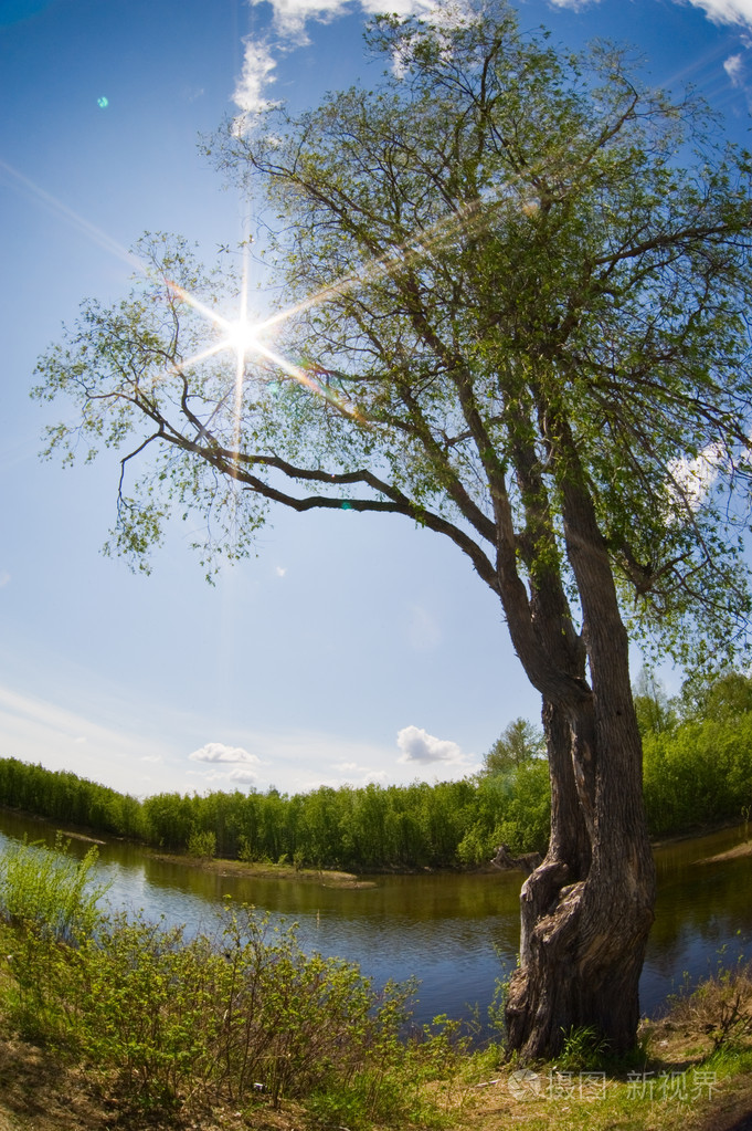 阳光灿烂的日子