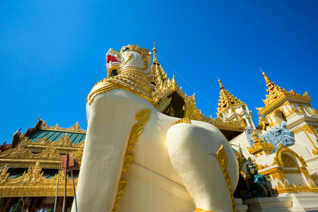 shwedagon 帕亚，仰光缅甸