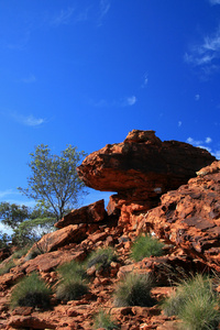 国王峡谷 watarrka 国家公园 澳大利亚