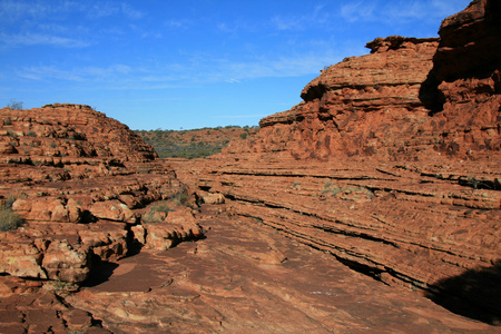 国王峡谷 watarrka 国家公园 澳大利亚