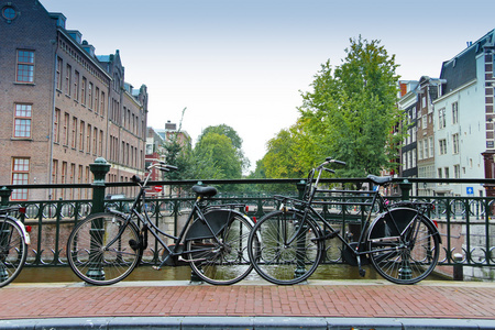 自行车在阿姆斯特丹运河的夫妻