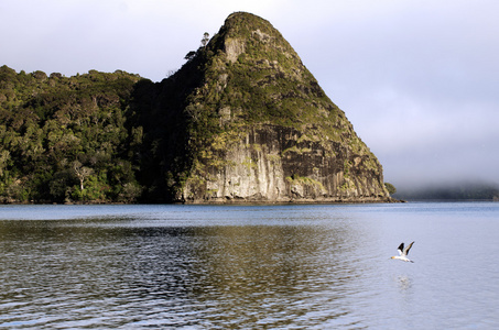 旺阿罗阿港新西兰图片