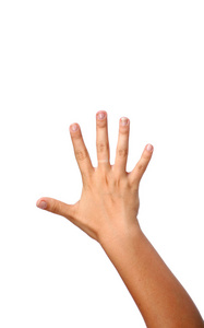 孤立的五个手指女性手