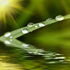 绿草与雨滴背景