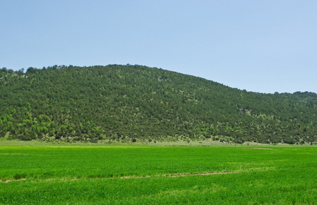 小小山