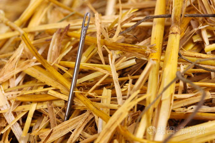 针在干草堆特写