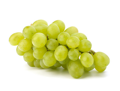 完美群的白葡萄品种