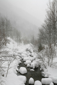 在冬天的悲伤隔离和冷环境中的雪河