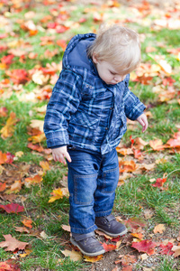 蹒跚学步小孩在秋天公园