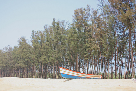 在瓦卡拉 喀拉拉邦 印度的热带海滩
