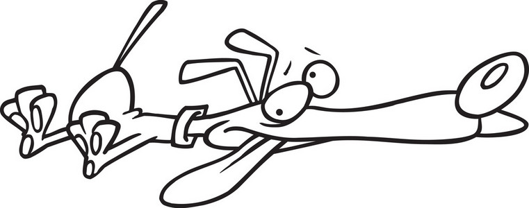 死了的哺乳动物图片-死了的哺乳动物素材-死了的哺乳动物插画-摄图新