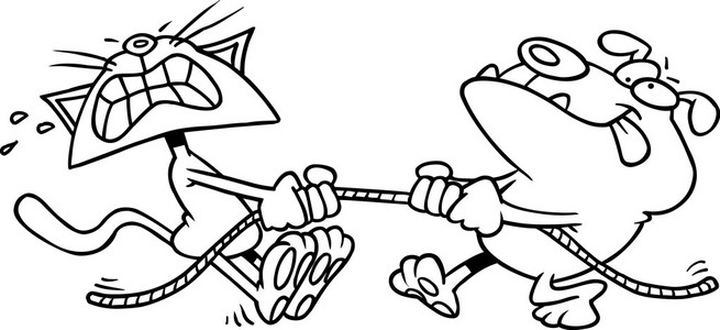 卡通猫和狗的战斗照片