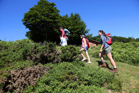 爬山的儿童图片