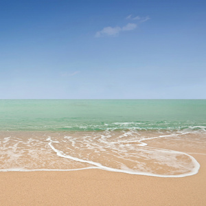 海滩和热带海