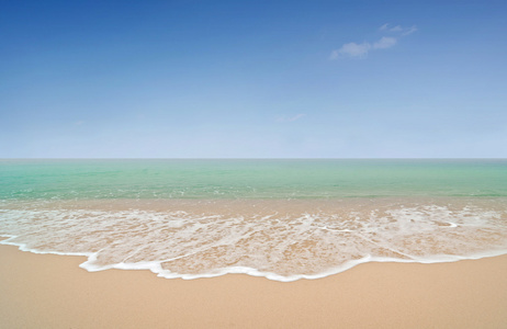 海滩和热带海