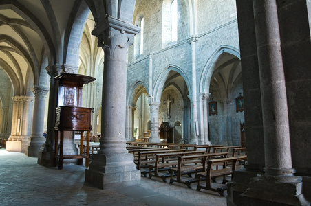 修道院的圣马蒂诺阿尔奇米诺。拉齐奥。意大利