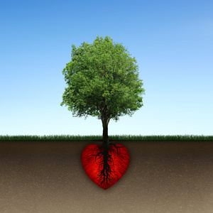 树和根红色的心