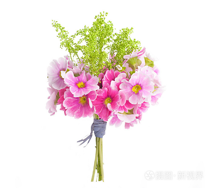 春月见草是在花束花卉背景
