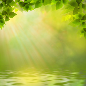 阳光灿烂的日子在森林湖，抽象的自然背景
