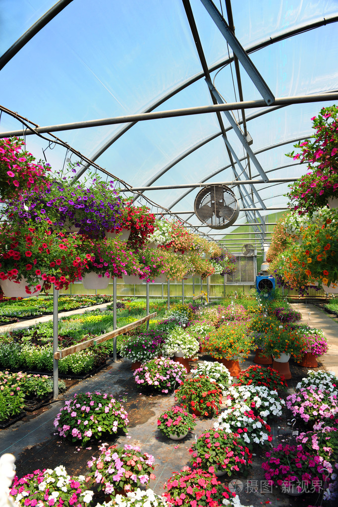 植物温室大棚