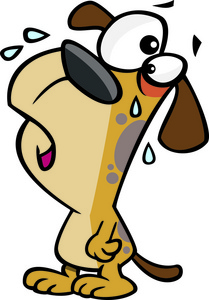 抱怨,在白色背景上的一只狗的插图照片