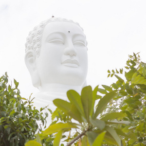 佛陀 上越南芽庄的里程碑