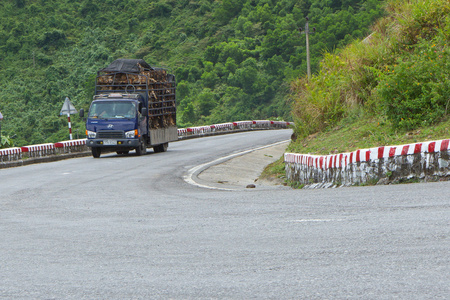 HU, VIETNAM  AUG 4 Trailer filled with live dogs destined fo