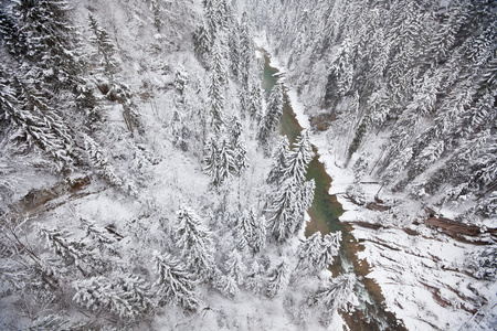 雪域景观