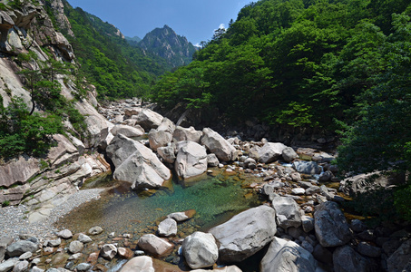 在 seoraksan，韩国森林河