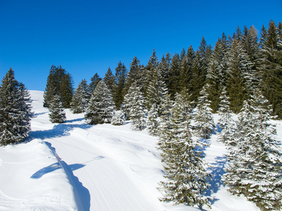 滑雪坡