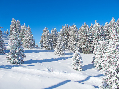 滑雪坡