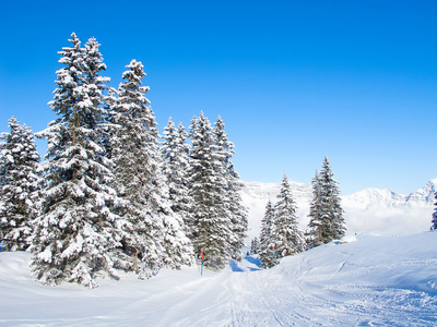 滑雪坡