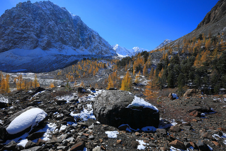 阿尔泰山