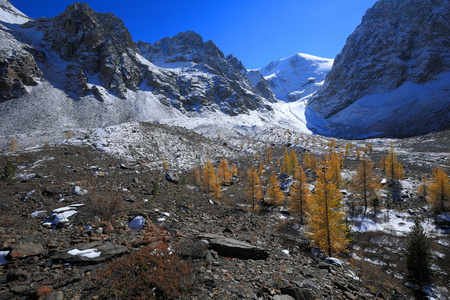 阿尔泰山