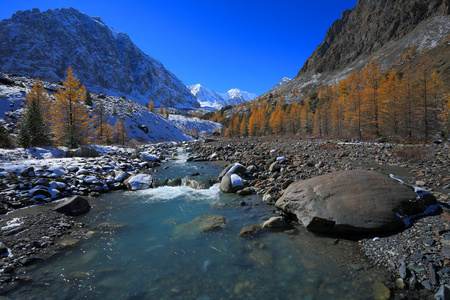 阿尔泰山