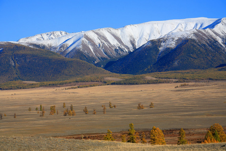 阿尔泰山