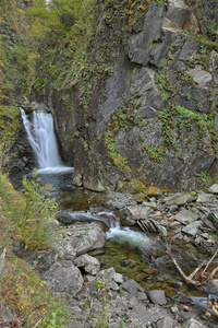 阿尔泰山