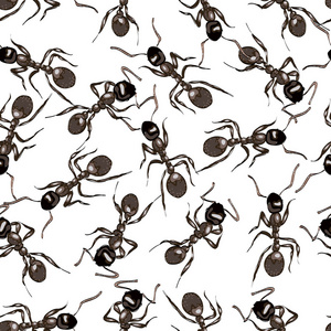 黑蚂蚁。无缝背景