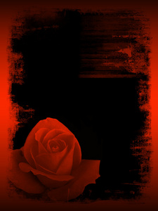 帧的红玫瑰
