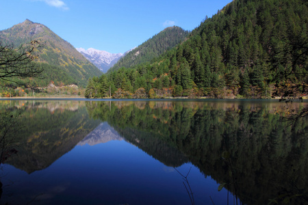 对称性图片-对称性素材-对称性插画-摄图新视界