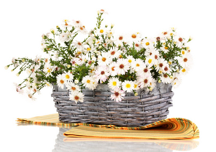 束美丽的白色花朵在篮子上白色隔离