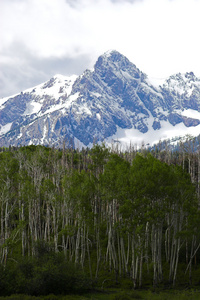 小山和山