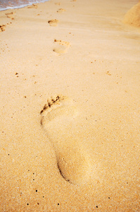 在海滩上的脚印