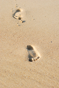在潮湿沙上的痕迹
