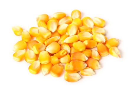 粮食玉米图片