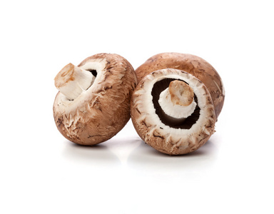 白底褐色蘑菇