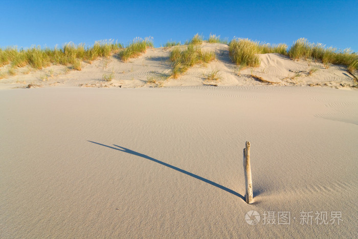 在日落海滩上沙丘