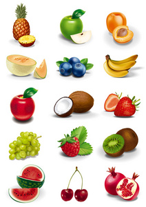 水果和浆果的插图