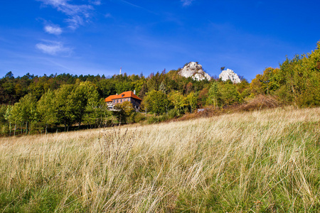 美丽的自然风光的 kalnik 山