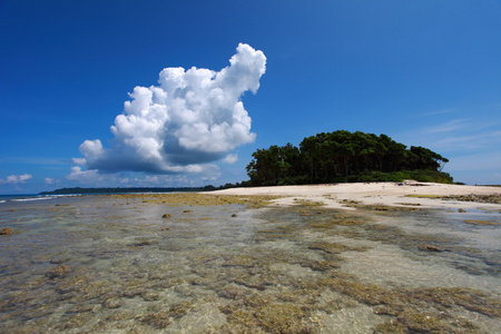 低浪潮和蓝蓝的天空和洁白的云朵在珊瑚海滩上。安达曼群岛